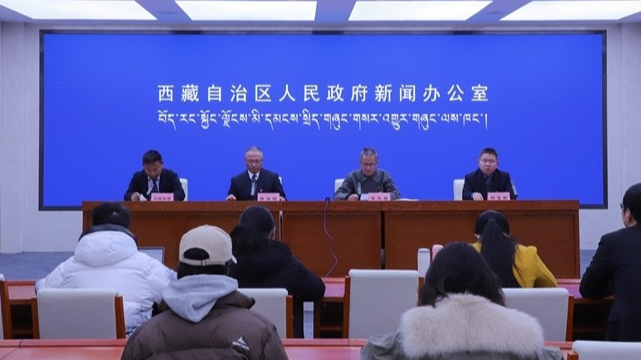 西藏：优化支付环境，手续费减费让利4500余万