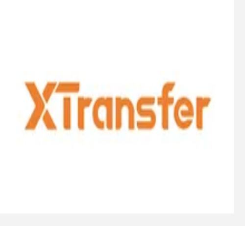 ：B2B跨境支付平台XTransfer首季度境外收款中亚非拉市场占73%