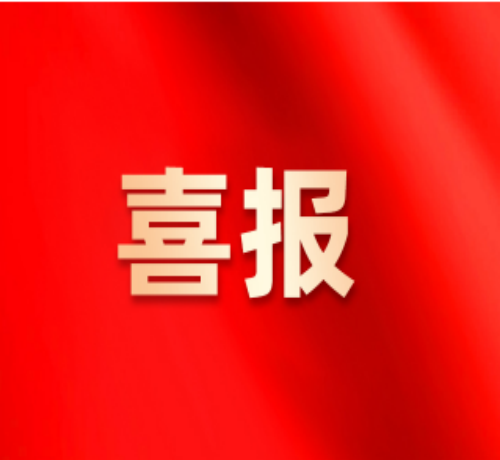 :再获殊荣!星驿支付荣膺VISA权威···